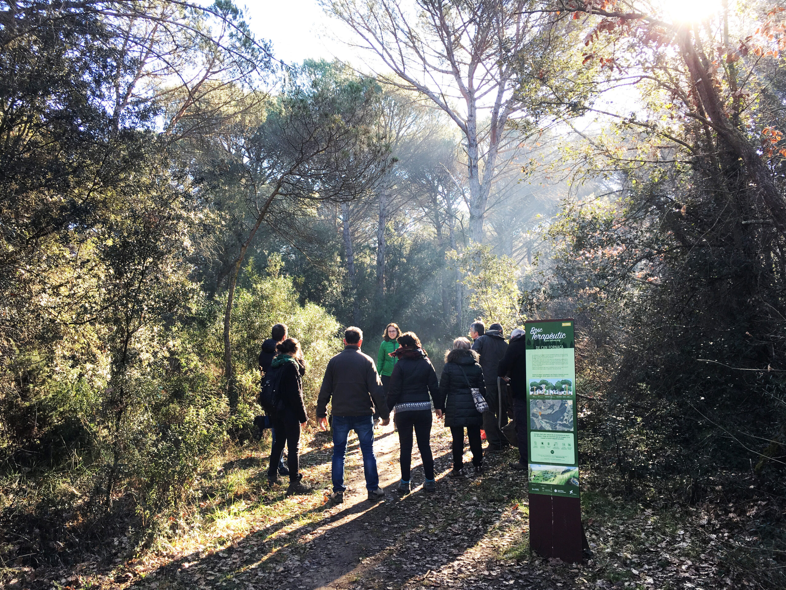 boscos_terapeutics_524A1615 (4)